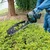 Makita 18V, LXT BL,50 cm Bar Length Cordless Hedge Trimmer (With Battery & Charger), DUH506RT