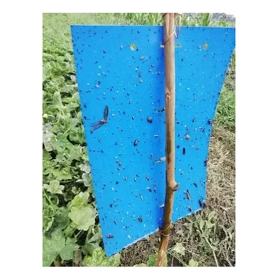 10 Pieces Blue Color Sticky Trap of 22 cm x 28 cm Size