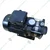 Sharp 0.5Hp Single Phase Pressure Booster Pump With 24L Tank, Copper Winding, Suitable for 1 Bathroom