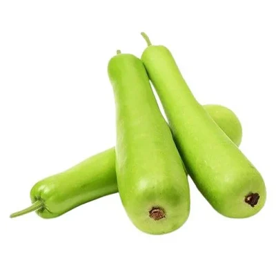 GEBDINSH Long Bottle Gourd Seeds with High Germination Rate for Home Kitchen Garden and Terrace Farming