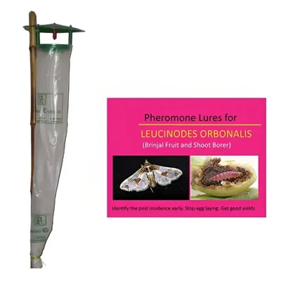 BP Pheromone Trap Funnel with Leucinodes Orbonalis Lure for Brinjal (25 Traps & 25 Lures)
