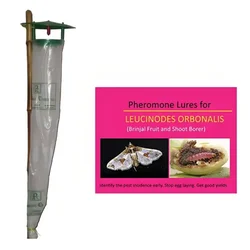 BP Pheromone Trap Funnel with Leucinodes Orbonalis Lure for Brinjal (25 Traps & 25 Lures)
