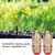 WaterSun 1/2 inch Brass Material Bullet Sprinkler for Agriculture, Horticulture, Garden and Nursery (Pack of 3 pcs)