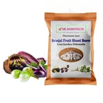 SK Agrotech Brinjal Lure | Leucinodes Orbonails