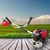 GT Shakti GT-CG-430, 2 Stroke 52 cc Brush Cutter / Grass Cutter With Free Accessories