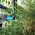 Makita 40V XGT BL Brushless 60cm, Cordless Hedge Trimmer (Without Battery & Charger), UH006GZ