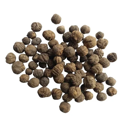 Burma Teak Wood Tectona Grandis (Treated Seeds) Seeds - 1kg