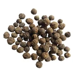 Burma Teak Wood Tectona Grandis (Treated Seeds) Seeds - 1kg