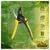 Hectare Precision Garden Bypass Pruner | Secateur | Plant Cutter with 20 mm Cutting Diameter for Home Garden