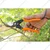 Falcon Major 225 mm Bypass Pruning Secateurs for Clean Cuts, Healthy Plants