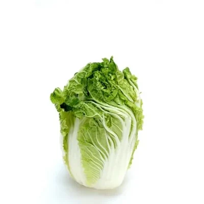 GEBDINSH Cabbage Green Vegetable Seeds for Home Kitchen Gardening and Terrace Farming