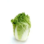 GEBDINSH Cabbage Green Vegetable Seeds for Home Kitchen Gardening and Terrace Farming