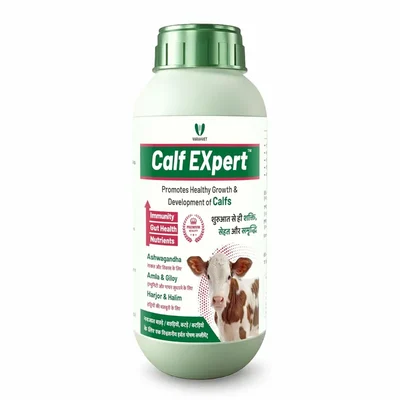 Varahvet 1ltr Calf Expert, Herbal Liquid Feed Supplement for Support Early-Stage Growth, Digestion & Bone Strength