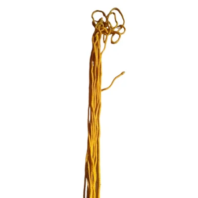 Premium Quality Camping P. P. Ropes for Canopy Tent, 100 Meter