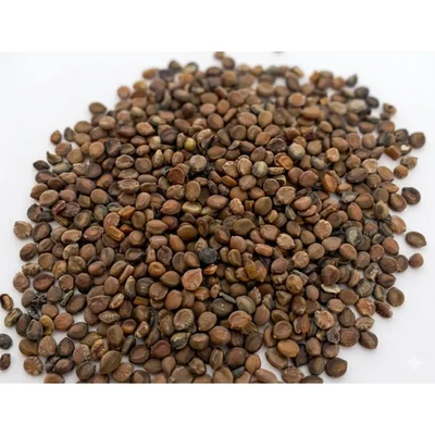 Cassia Siamea Senna (Kassod / Ponnavarai) Tree Seeds 100G