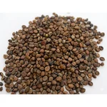 Cassia Siamea Senna (Kassod / Ponnavarai) Tree Seeds 100G