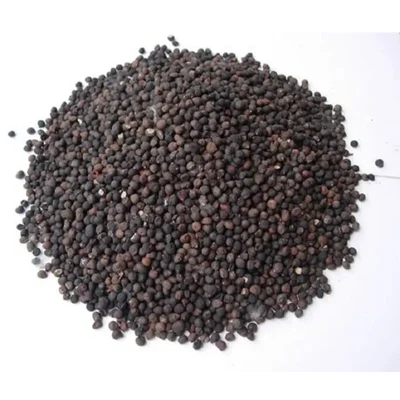 Ceiba Bentandra ( Elavanpinju) Tree Seeds 500G