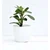 Ecofynd White Ceramic Metal Planter Pot | Used as a Home Decoration Item