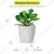 Ecofynd White Ceramic Metal Planter Pot | Used as a Home Decoration Item