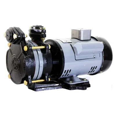 CG Power 1 HP Single Phase Slow speed Self Priming Pump (CGDMB10DX) - 1 Year Warranty