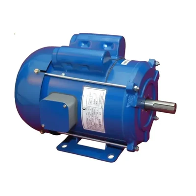 CG Power GF6132 0.5 HP Single Phase Copper Winding 2 Pole Foot Mounted AC Motor