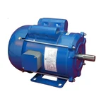 CG Power GF6132 0.5 HP Single Phase Copper Winding 2 Pole Foot Mounted AC Motor