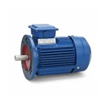 CG Power GF6823 2 HP Single Phase Copper Winding 4 Pole Flange Mounted AC Motor