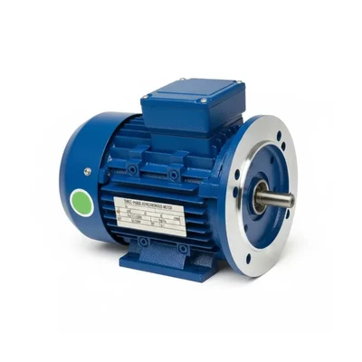 CG Power GF6877 2 HP Single Phase Copper Winding 2 Pole Foot Cum Flange Mounted AC Motor