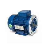 CG Power GF6877 2 HP Single Phase Copper Winding 2 Pole Foot Cum Flange Mounted AC Motor