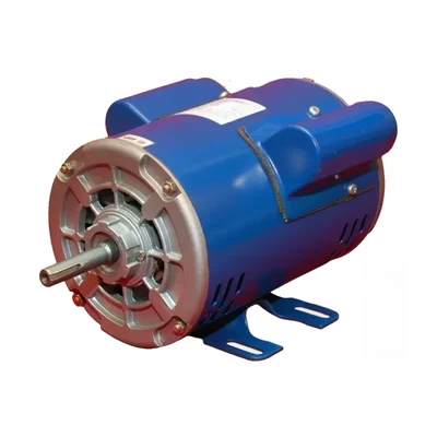 CG Power GF6890 0.5 HP Single Phase Copper Winding 4 Pole Foot Mounted AC Motor