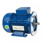 CG Power GF6940 0.5 HP Single Phase Copper Winding 4 Pole Flange Mounted AC Motor