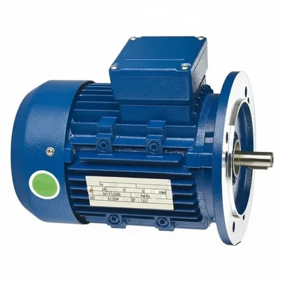 CG Power GF6941 1 HP Single Phase Copper Winding 4 Pole Flange Mounted AC Motor