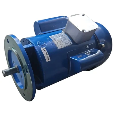 CG Power GF6941 1 HP Single Phase Copper Winding 4 Pole Flange Mounted AC Motor