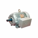 CG Power GF7042 1.5 HP Single Phase Copper Winding 4 Pole Foot Mounted AC Motor