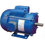 CG Power GF7216 1 HP Single Phase Copper Winding 2 Pole Flange Mounted AC Motor