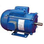 CG Power GF7218 2 HP Single Phase Copper Winding 2 Pole Flange Mounted AC Motor