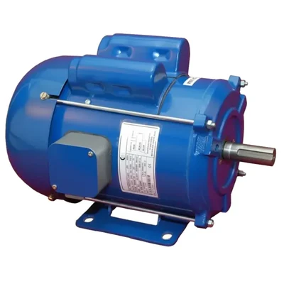 CG Power GF7264 3 HP Single Phase Copper Winding 4 Pole Flange Mounted AC Motor