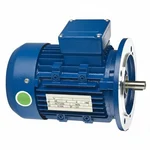 CG Power GF6942 3 HP Single Phase Copper Winding 4 Pole Flange Mounted AC Motor