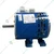 CG Power 0.25 HP Single Phase Commercial Motor With 1 Year Warranty (GF4451)