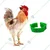 Chicken Leg Bands For Identification (Pack of 100)