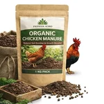 Pioneer Agro Chicken Manure 1kg High Nitrogen Organic NPK Formula Soil Fertilizer for Vegetables, Fruits, and Flowers