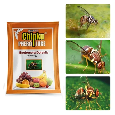 Chipku Pheromone Lure (10 Pieces) For All Fruits Crops
