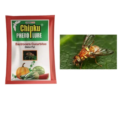 Chipku Pheromone Lure (10 Pieces) For All Types Of Vegetable Farming