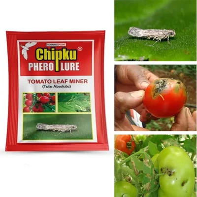 10 Pieces Of High Quality Chipku Tomato Leaf Miner Lure For Tomato Farming