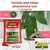 10 Pieces Of High Quality Chipku Tomato Leaf Miner Lure For Tomato Farming