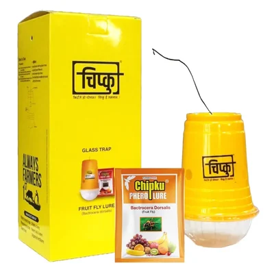 Chipku Glass Trap with Fruit Fly Lure (Pack Of 25)