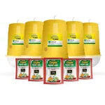 Chipku Glass Trap with Melon Fly Pheromone Lure for Watermelon, Pumpkin & Gourd Crops