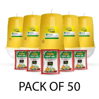 Chipku Glass Trap with Melon Fly Pheromone Lure for Watermelon, Pumpkin & Gourd Crops(Quantity-50 pieces)