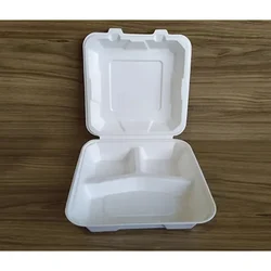 Premium 9x9 inch 3 Compartment Bagasse Clamshell Take Out Food Containers  for Food Packaging and Takeaway(Pack-25 pcs)