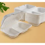 Premium 10x6 inch 2 Compartment Bagasse Clamshell Take Out Food Containers for Food Packaging and Takeaway